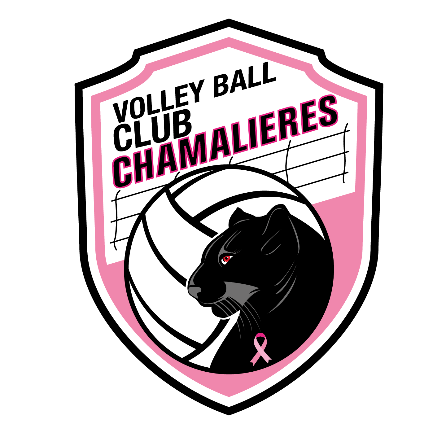 Volley Ball Chamalières