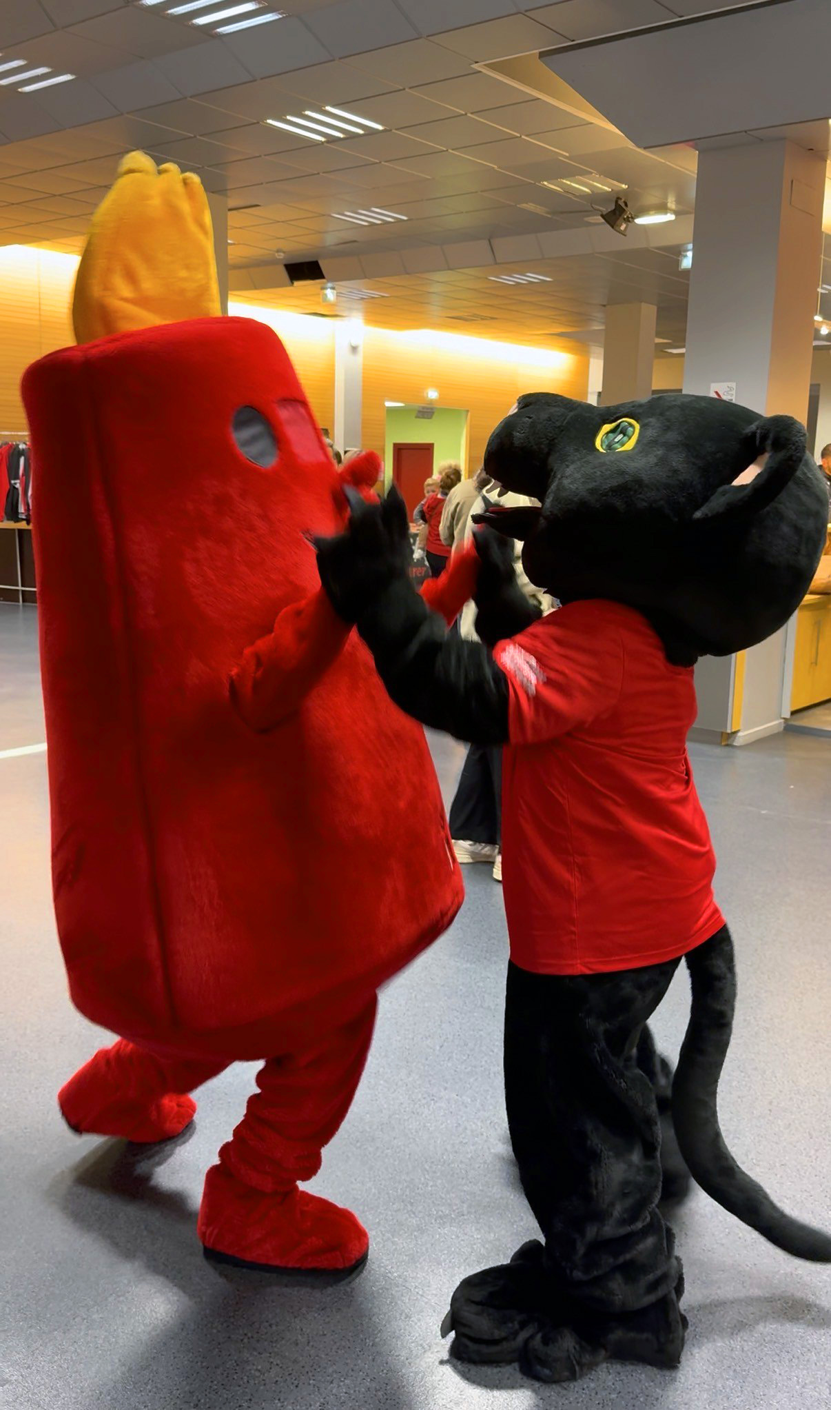 thumbnail_IMG_0769 thumbnail_IMG_0769