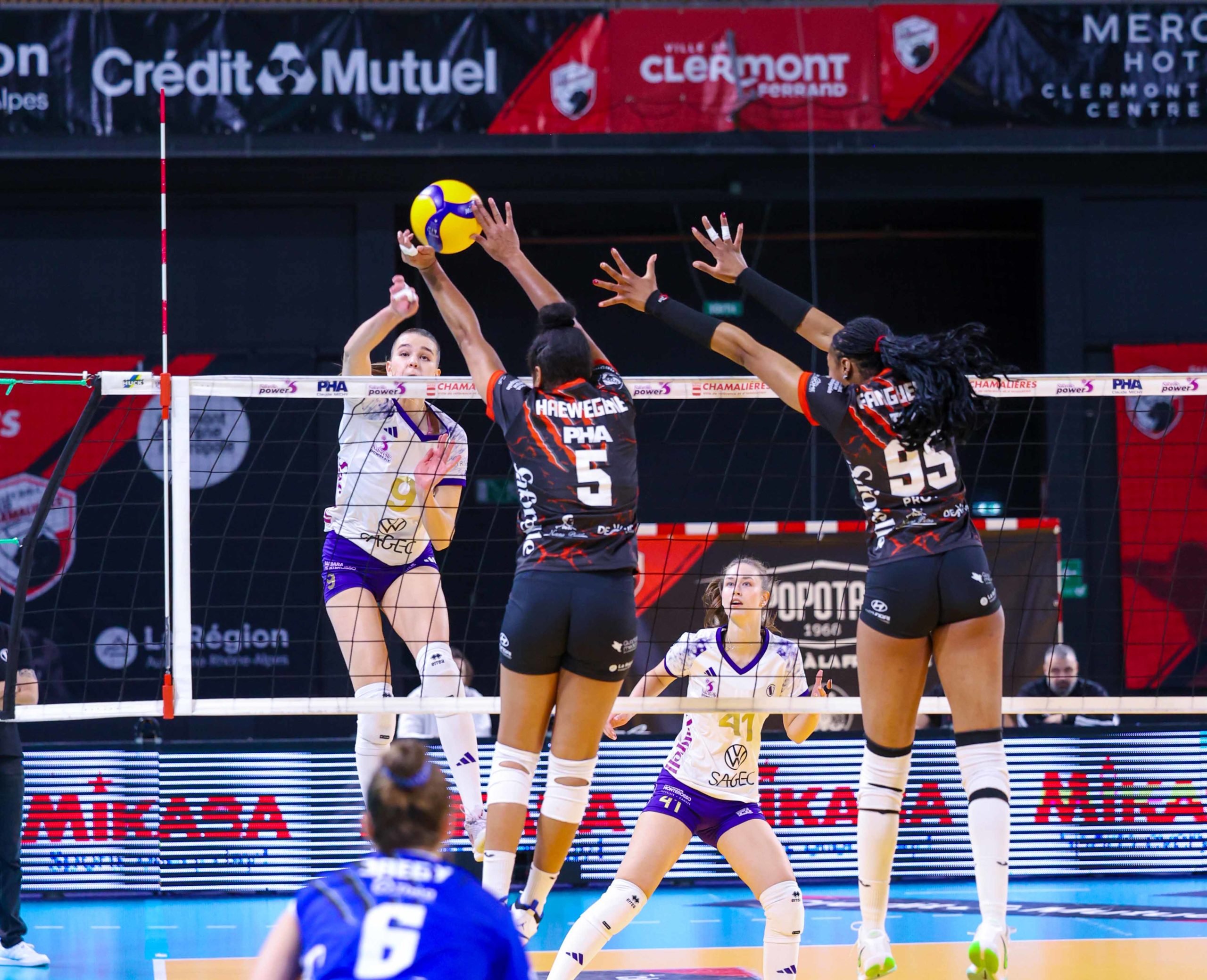 Les Panthères tombent avec les honneurs face à Le Cannet